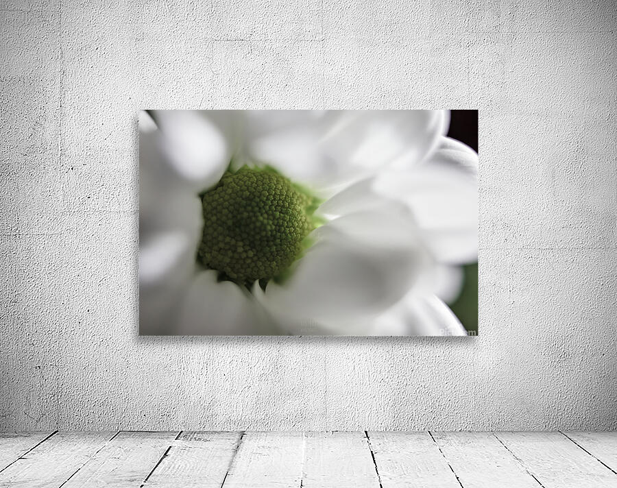 044A0531 2 Wall Preview
