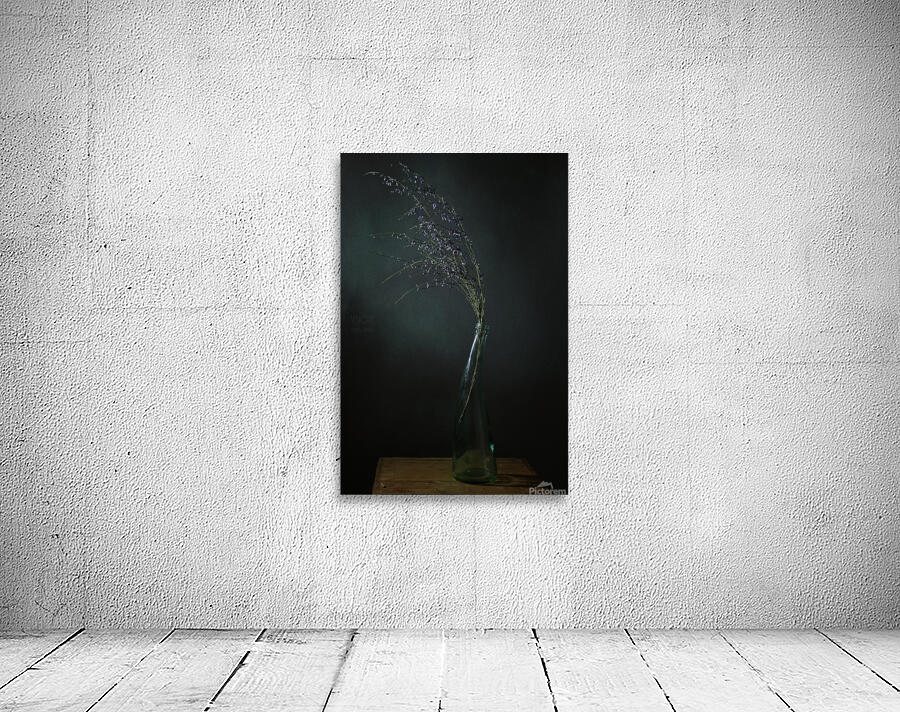 1Q8A7525 Wall Preview