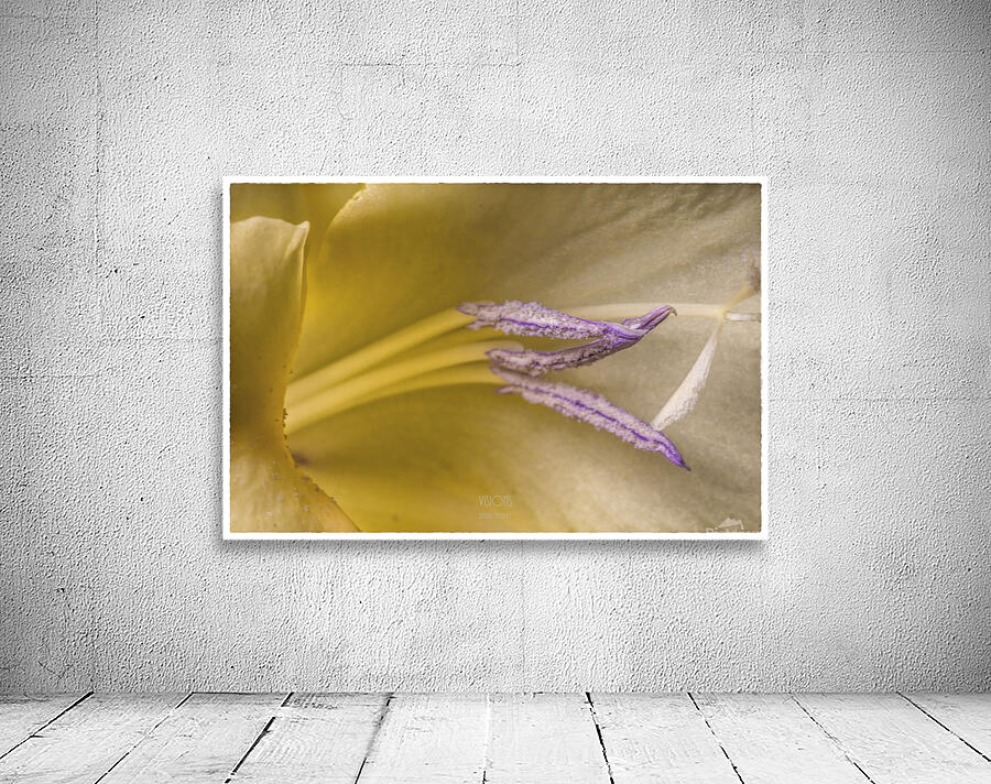044A1298  Wall Preview