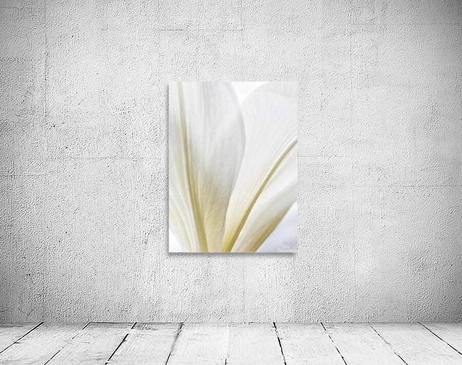 044A0783 Wall Preview