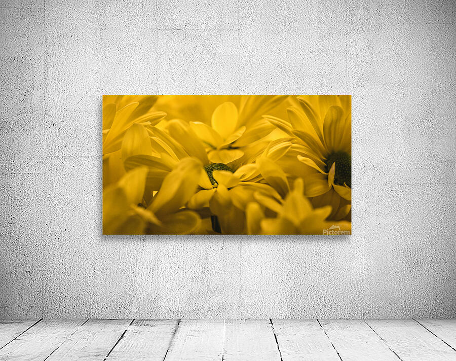 044A0938 Wall Preview