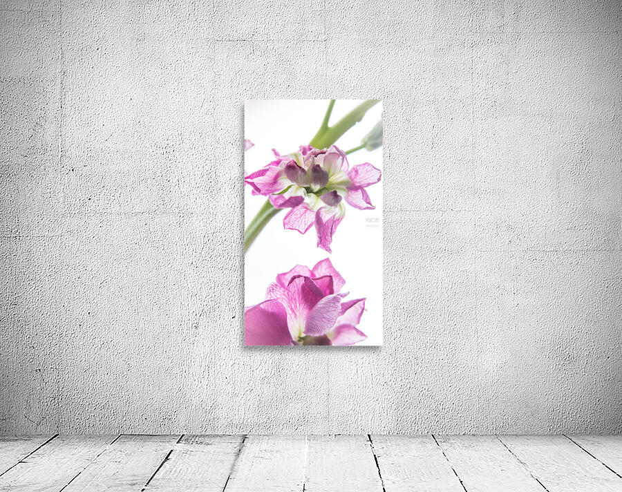044A0791 Wall Preview