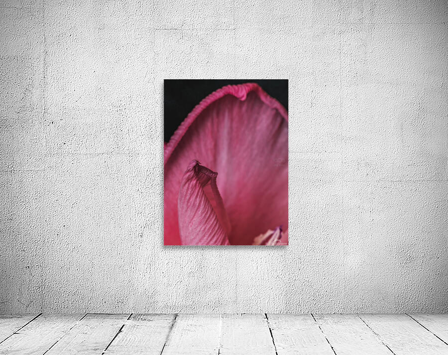 044A1280 Wall Preview