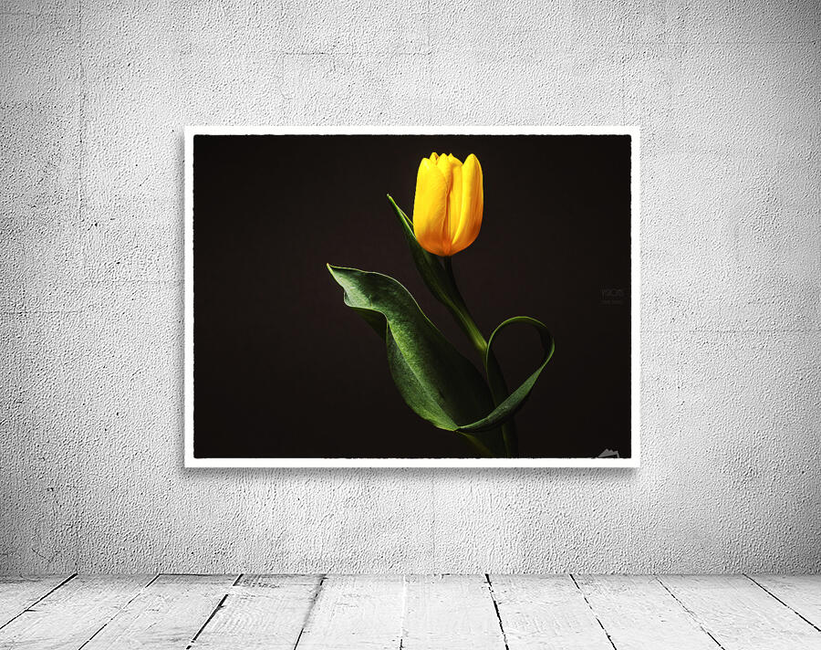 044A1029  Wall Preview
