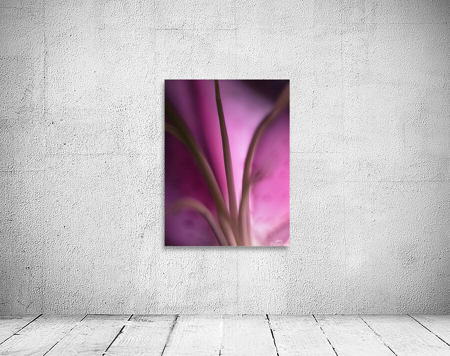 044A0538 Wall Preview