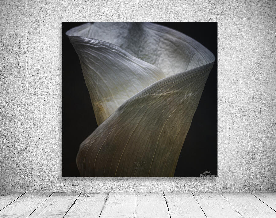044A0699 Wall Preview