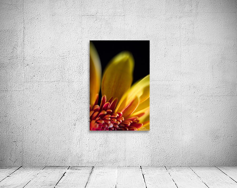 044A0547 Wall Preview