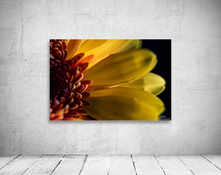 044A0542 Wall Preview