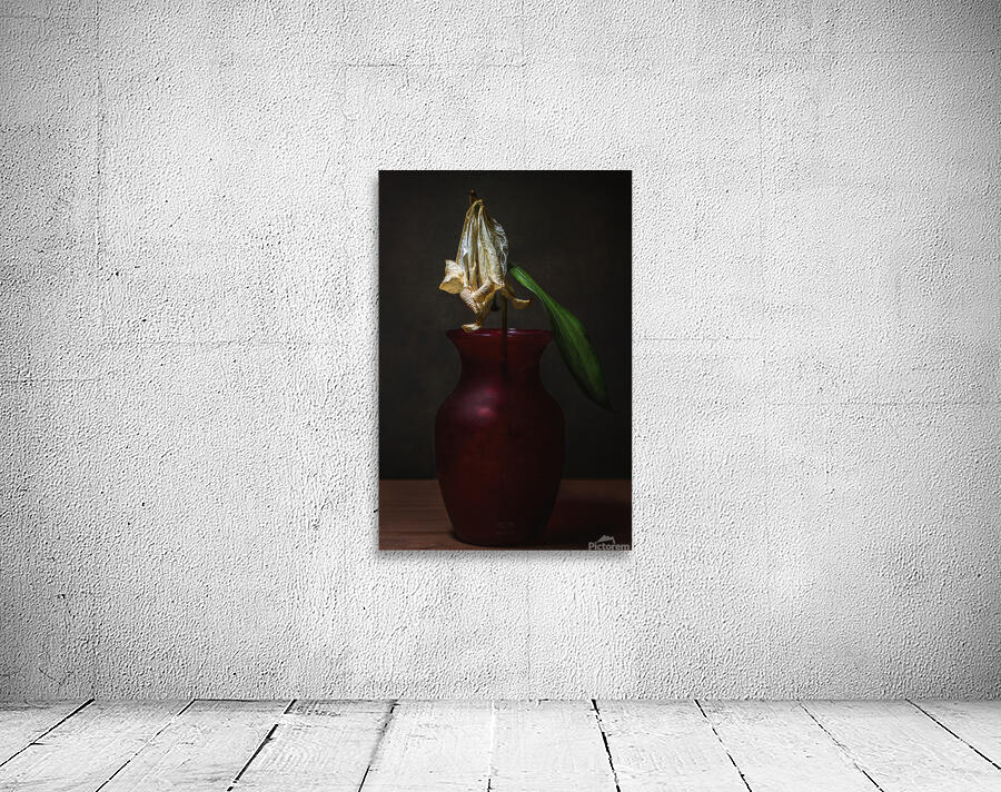 044A0866 Wall Preview