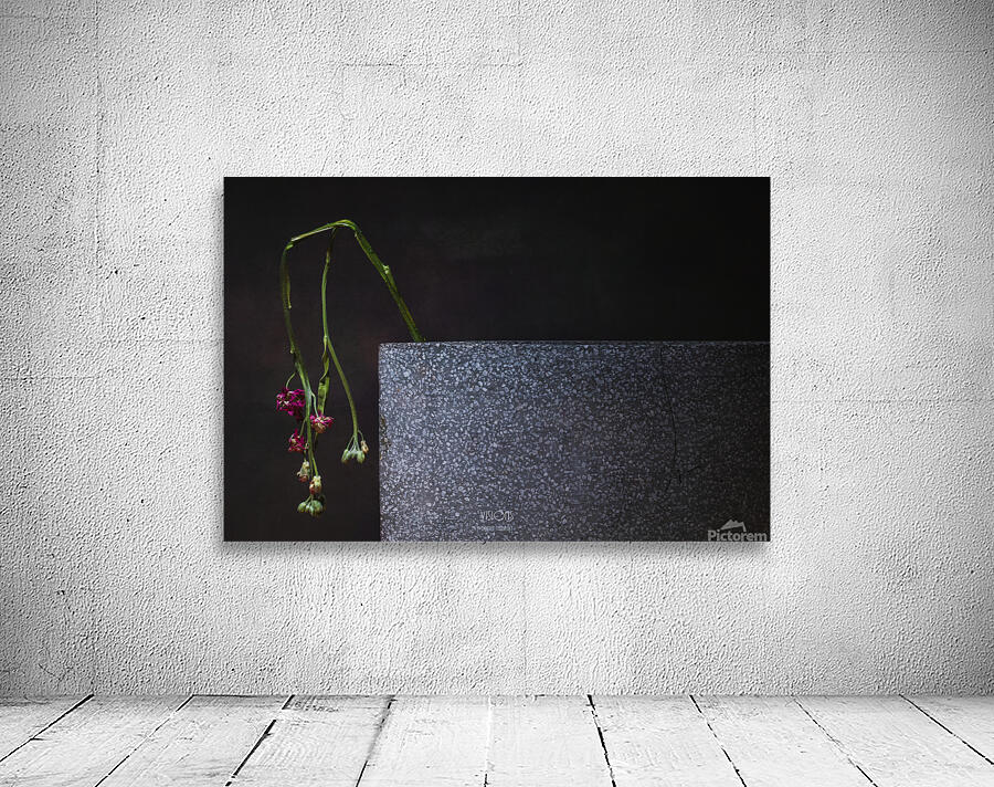 044A0837 Wall Preview