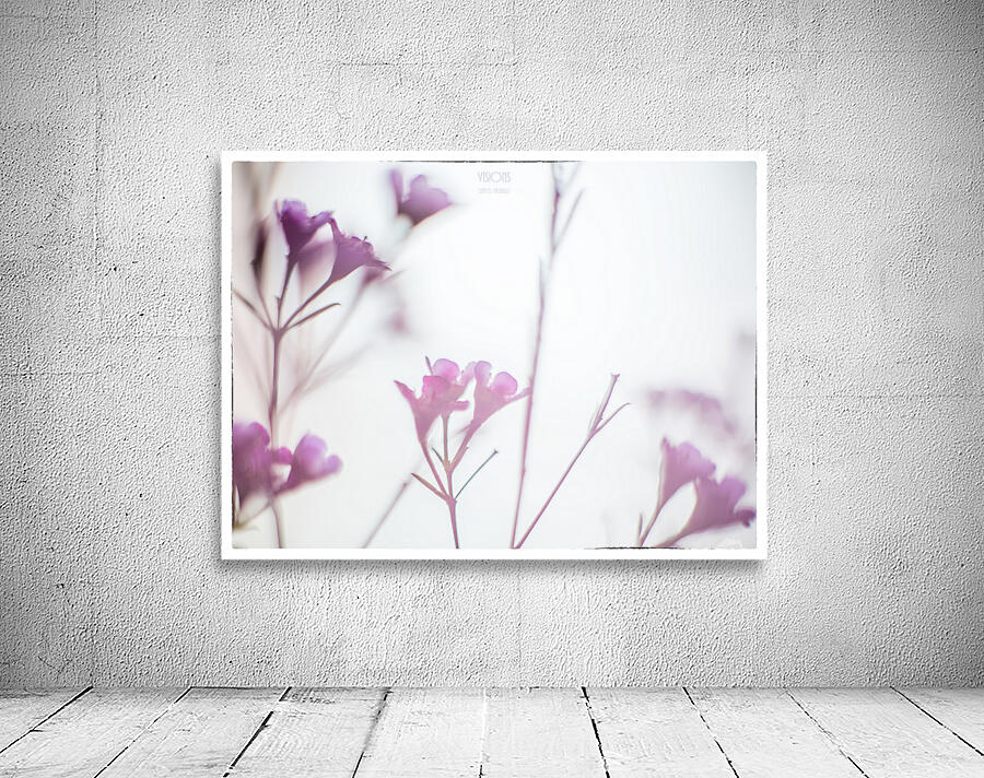 044A1218  Wall Preview