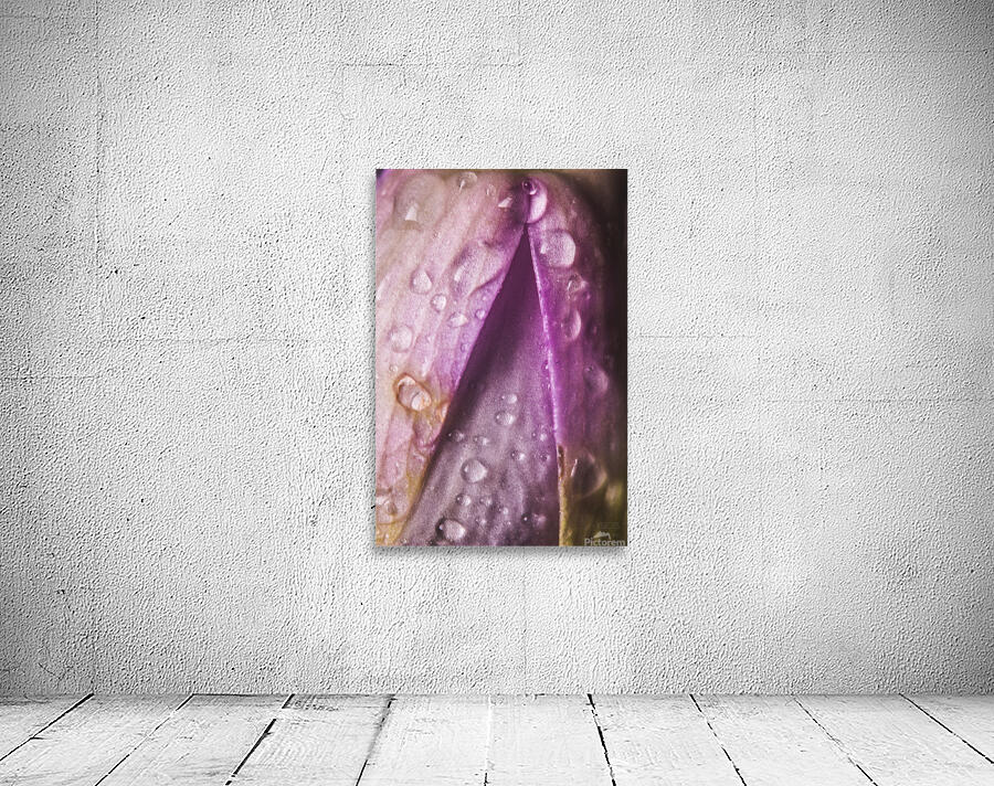 044A1417 Wall Preview