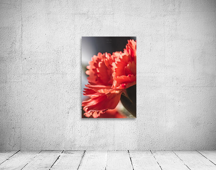 044A1593 Wall Preview