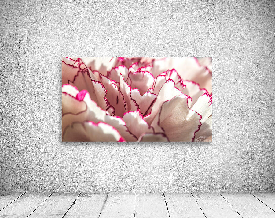 044A1596 Wall Preview