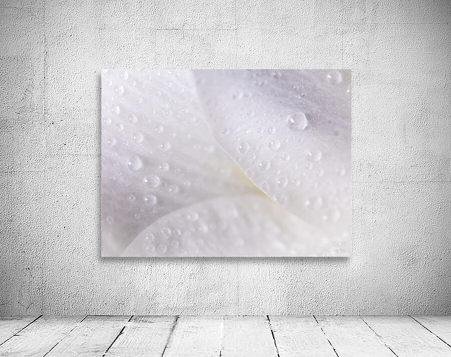 044A1435 Wall Preview