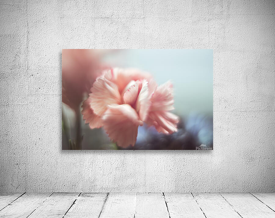 044A1684 Wall Preview