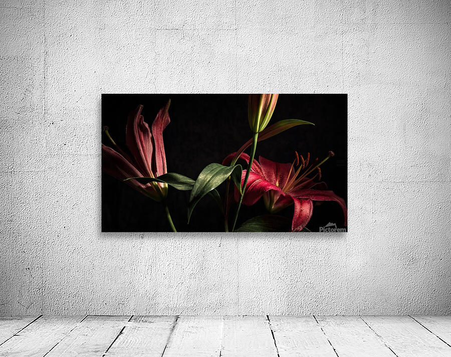 044A2996 Wall Preview