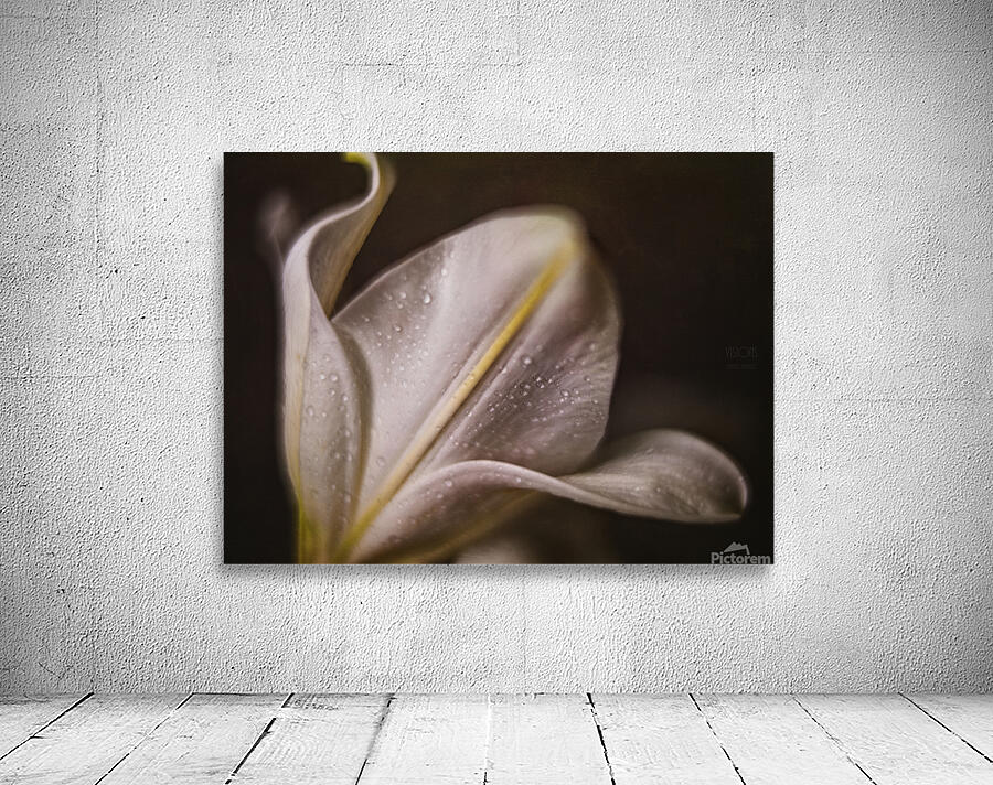 044A1461 Wall Preview