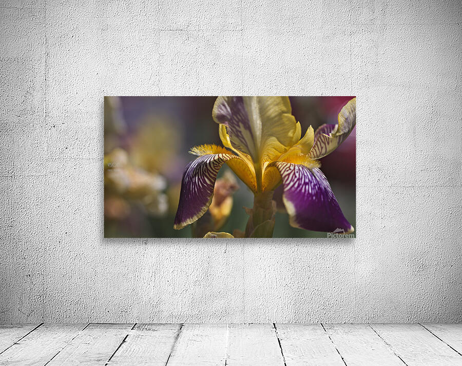 044A1840 Wall Preview