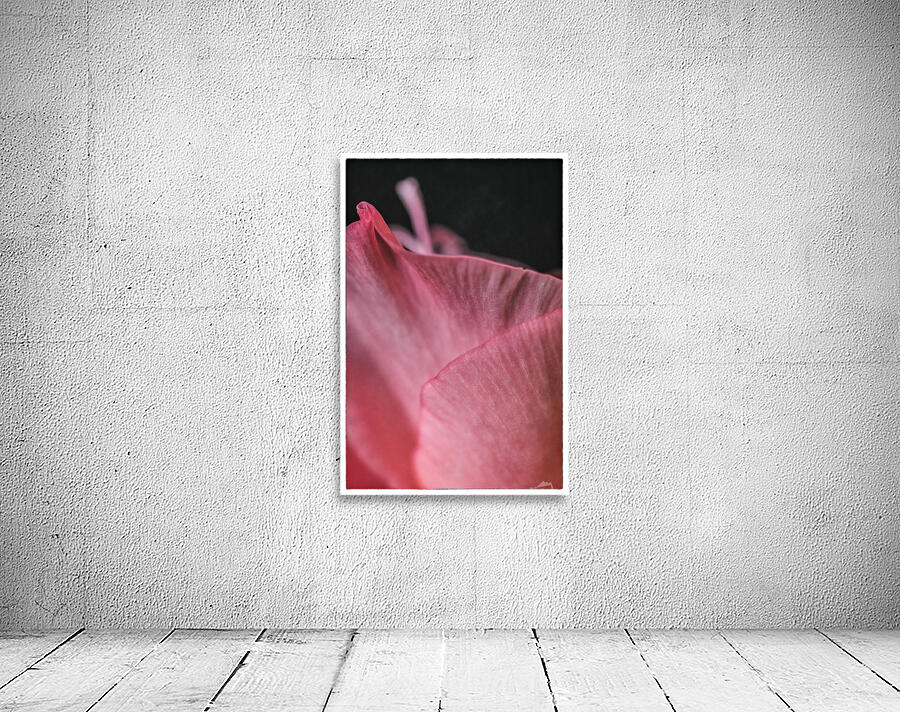 044A1325  Wall Preview