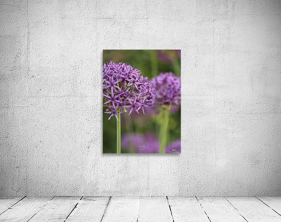 044A1848 Wall Preview