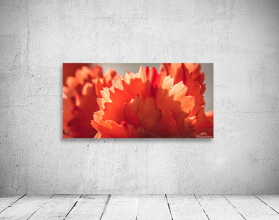 044A1604 Wall Preview