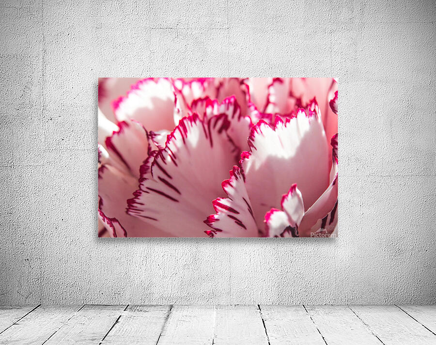 044A1630 Wall Preview