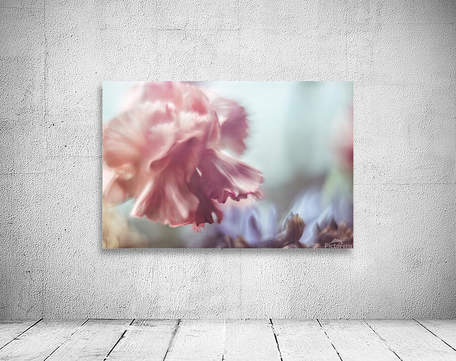 044A1686 Wall Preview