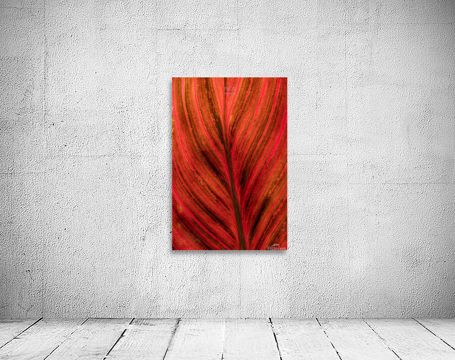 044A9227 Wall Preview