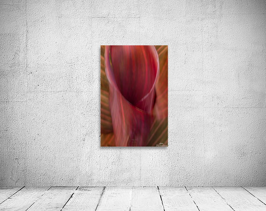 044A9273 Wall Preview