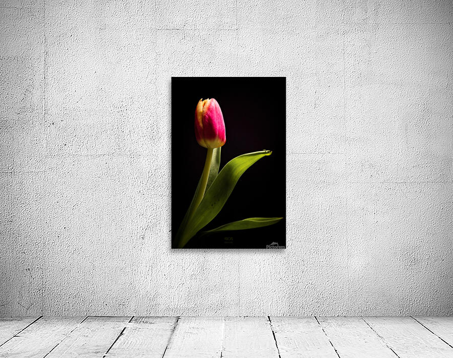 044A4773 Wall Preview
