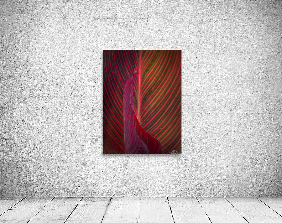 044A9145 Wall Preview