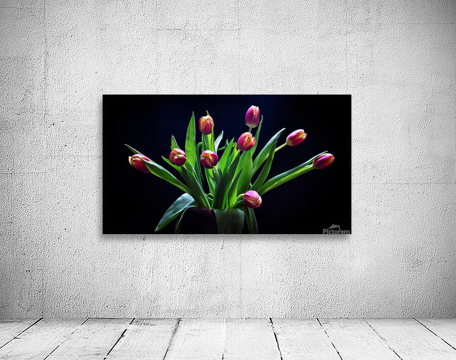 044A4818 Wall Preview