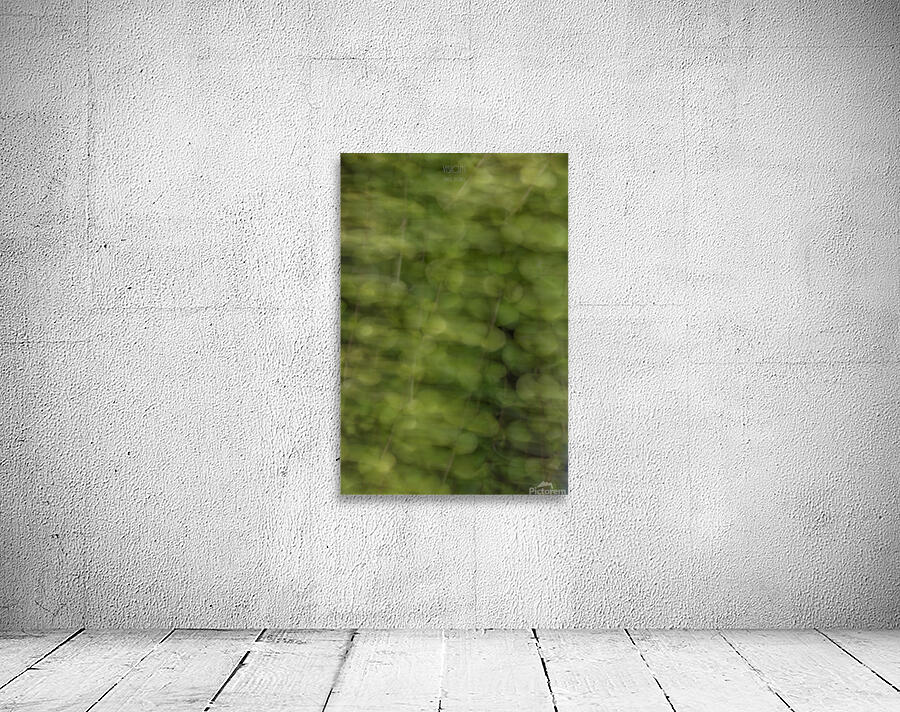 044A8977 Wall Preview