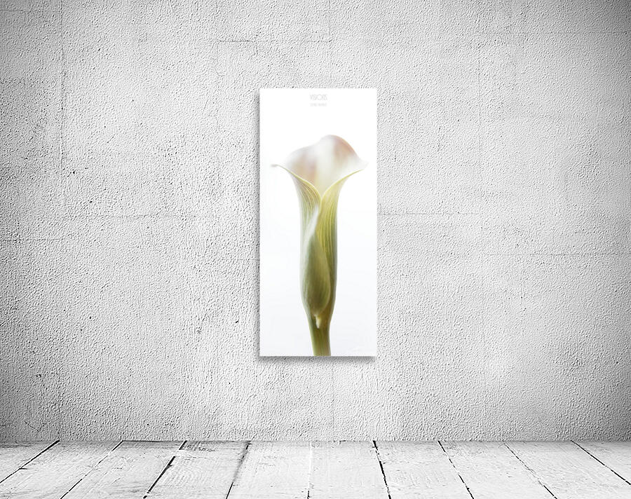 044A3544 Wall Preview
