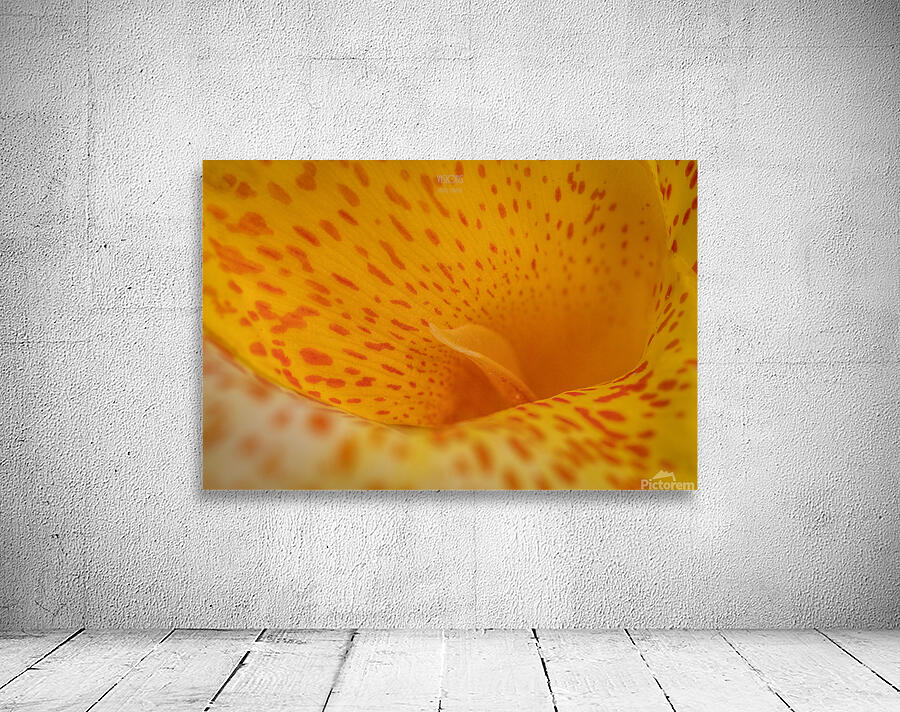 044A8884 Wall Preview