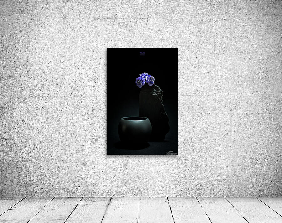 044A4917 Wall Preview