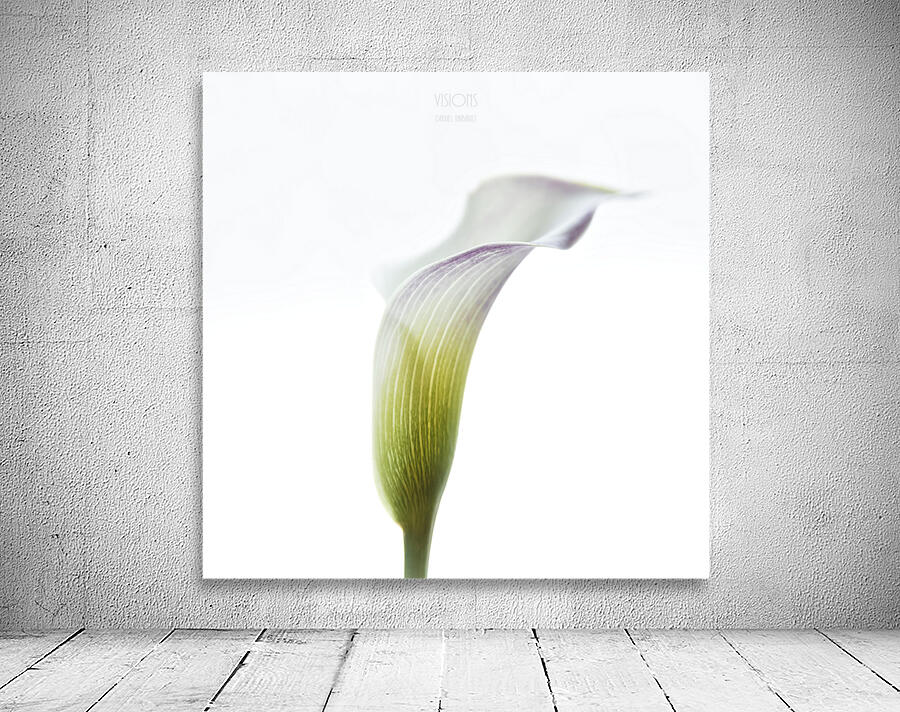 044A3490 Wall Preview