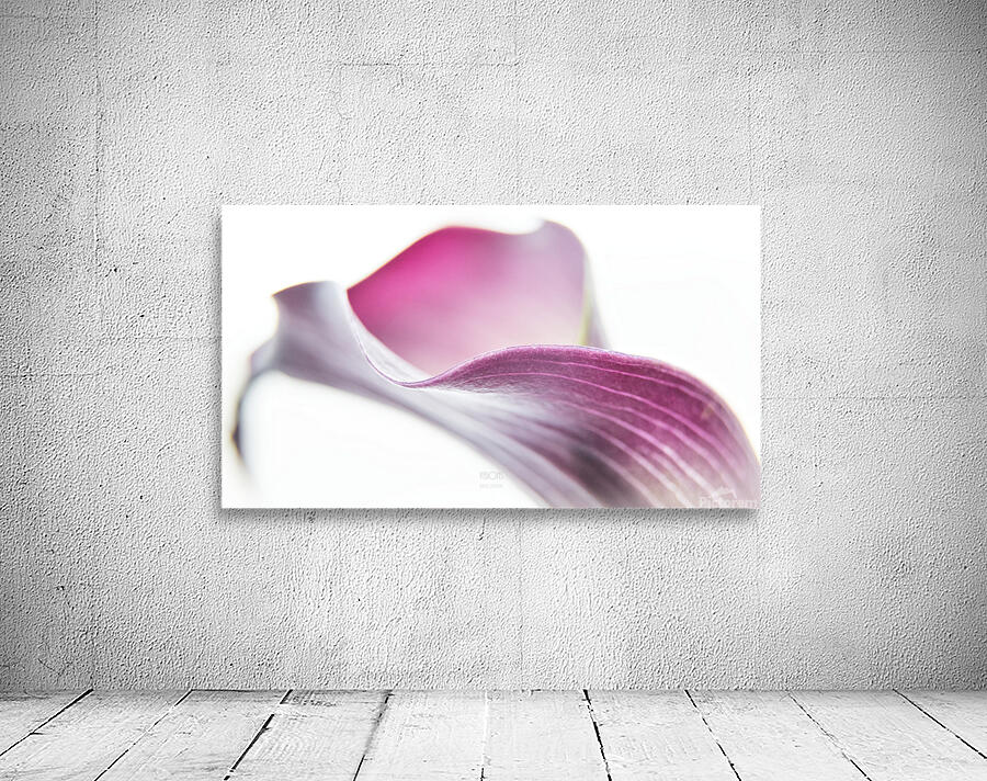 044A3514 Wall Preview