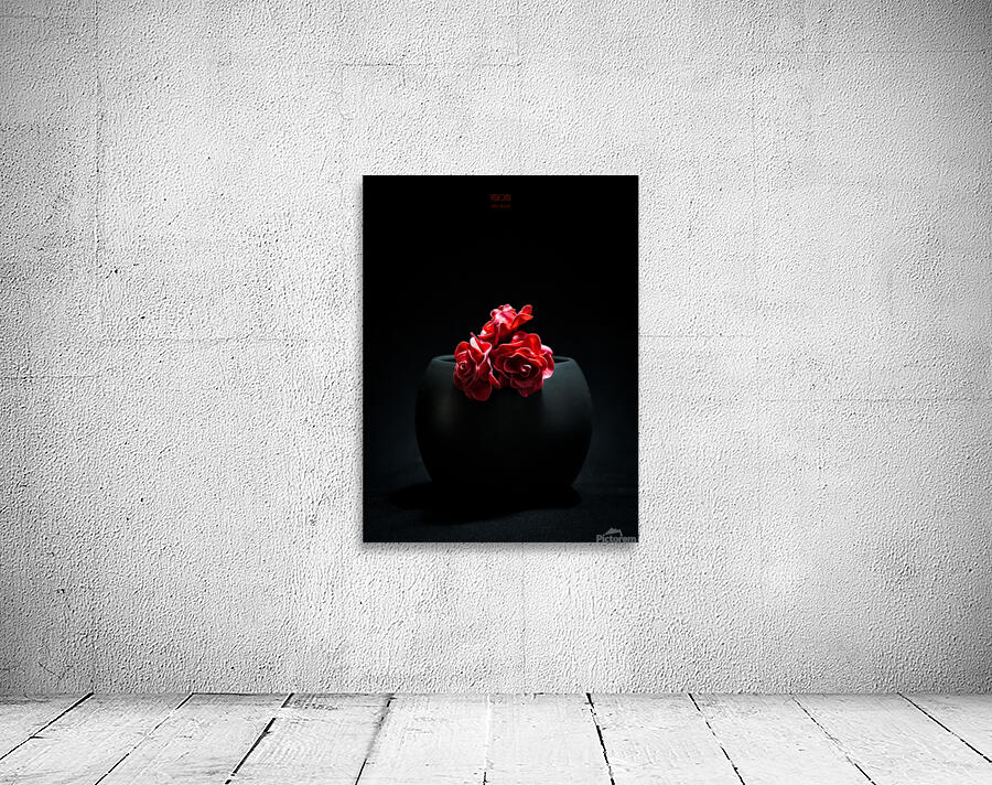 044A4923 Wall Preview