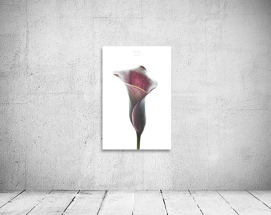 044A3496 Wall Preview