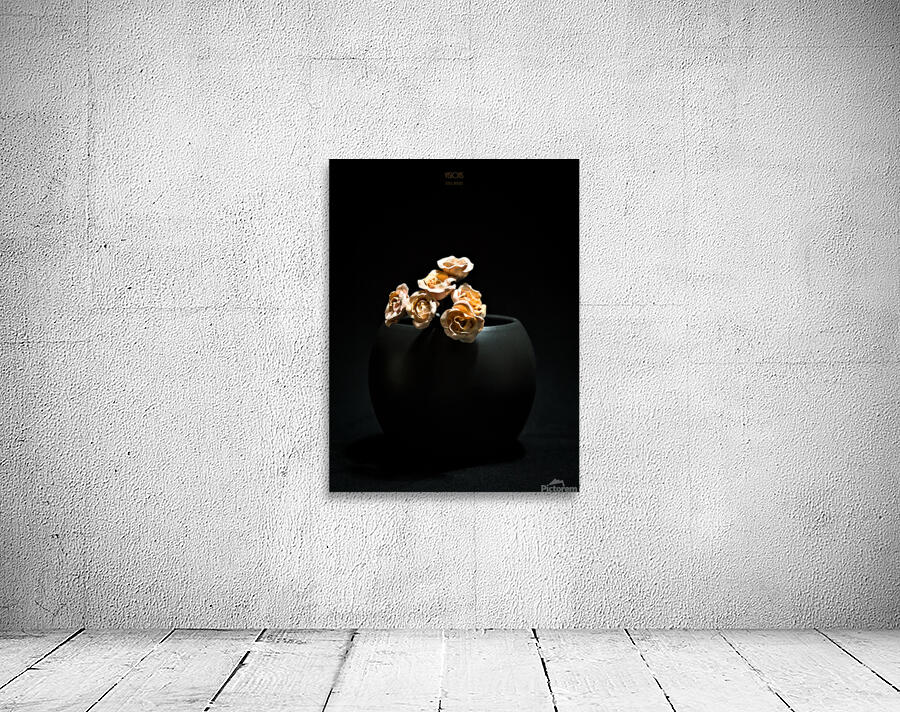044A4928 Wall Preview