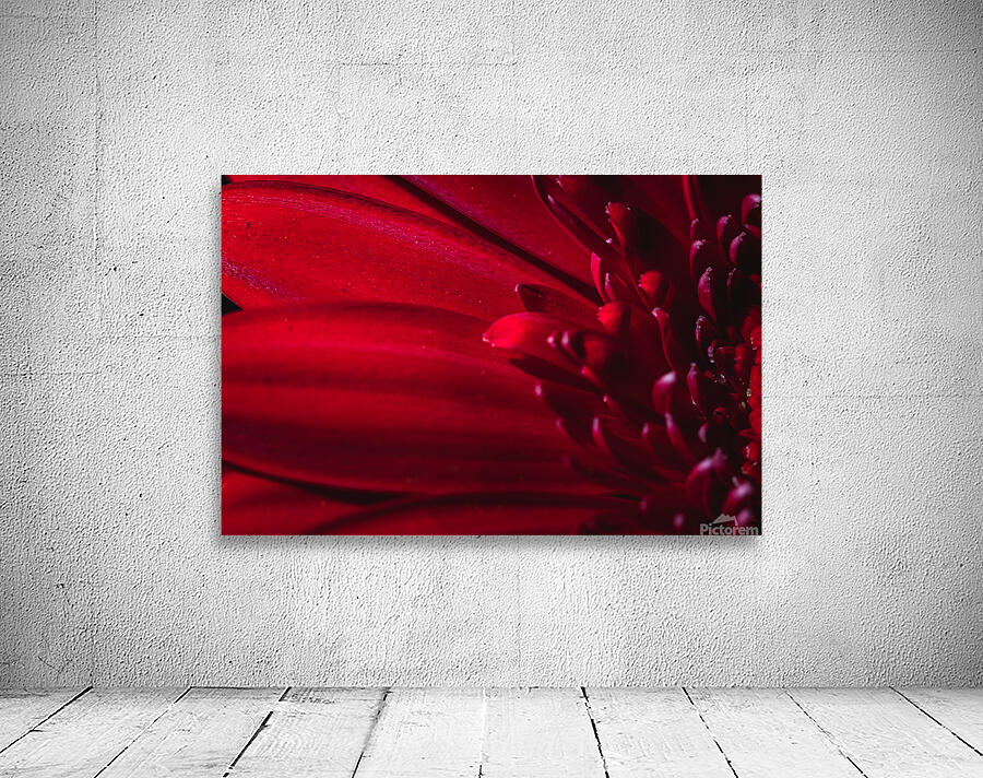 085A6370 Wall Preview
