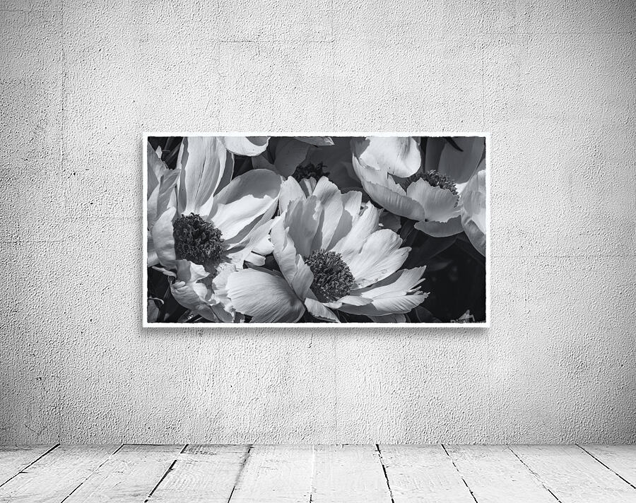 085A0531  Wall Preview