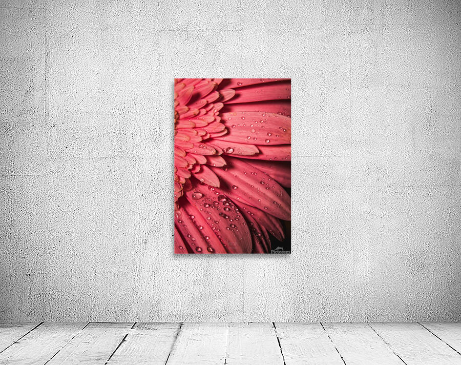085A6785 Wall Preview