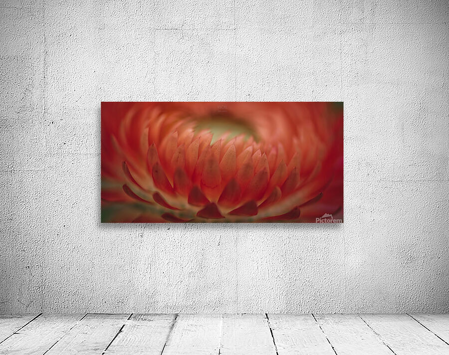 044A9595 Wall Preview