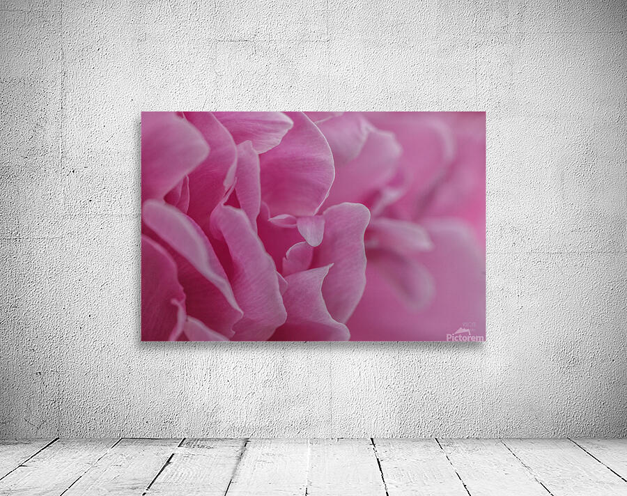 085A0562 Wall Preview