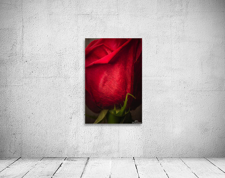 085A6432 Wall Preview
