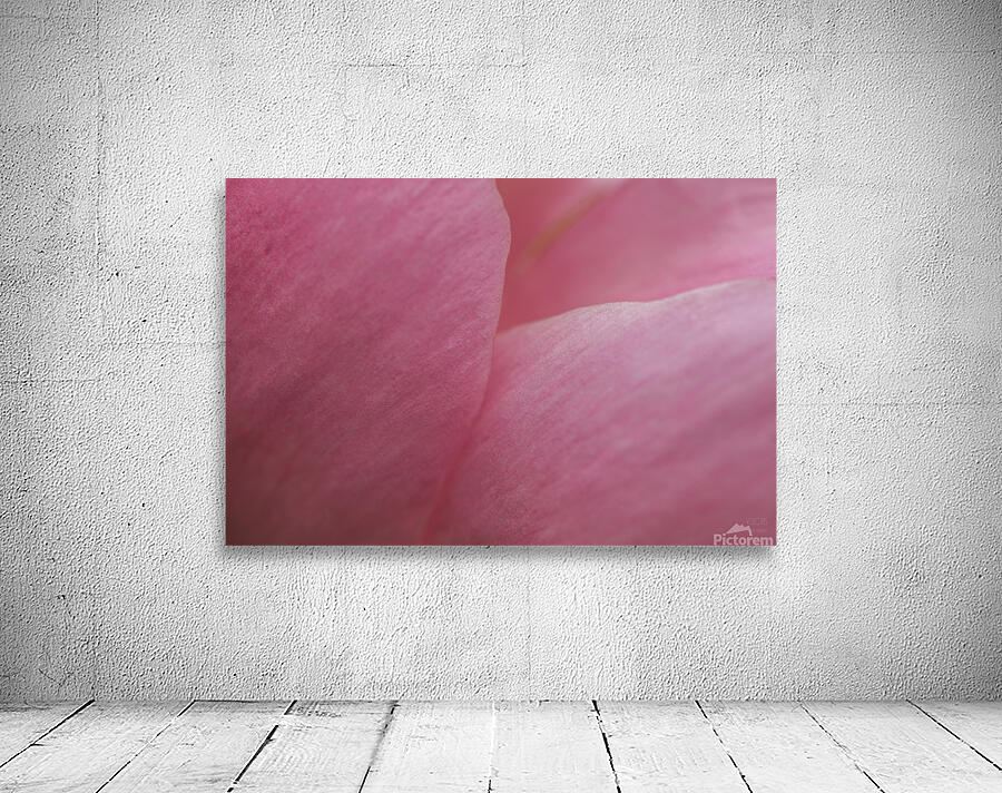 085A0649 Wall Preview
