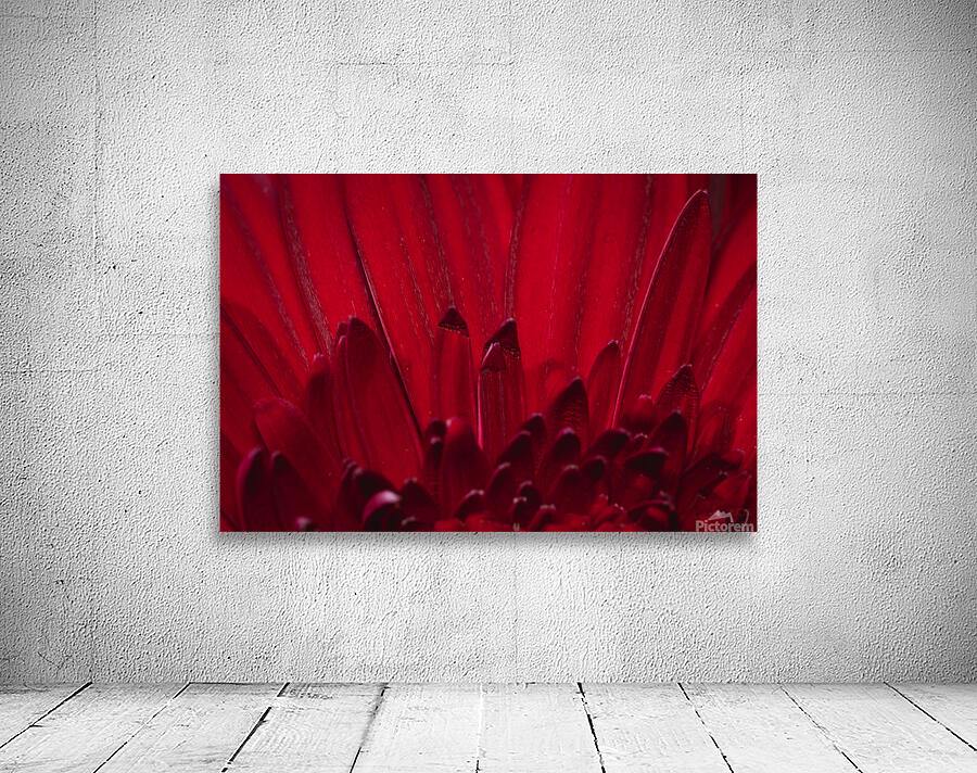085A6372 Wall Preview